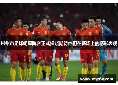 郴州市足球明星阵容正式揭晓期待他们在赛场上的精彩表现